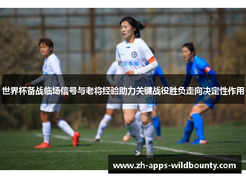 世界杯备战临场信号与老将经验助力关键战役胜负走向决定性作用