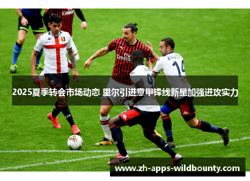 2025夏季转会市场动态 里尔引进意甲锋线新星加强进攻实力